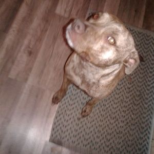 Meet your Posher, Scott